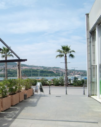 Outside